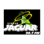 Stereo Jaguar desde Petén